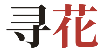 寻花论坛